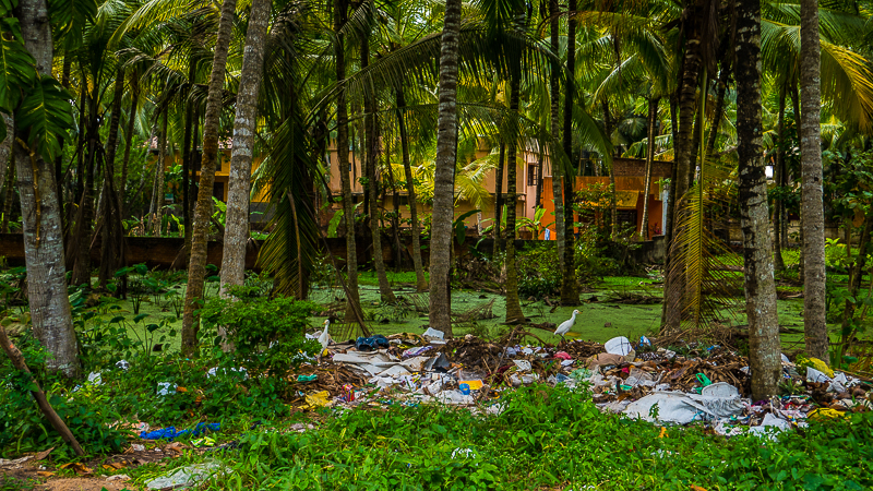 muellhalde_kovalam-1000521