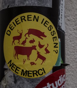 dierenEssen-1000812
